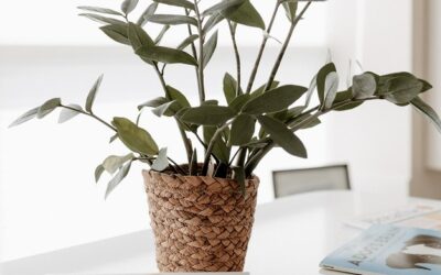 Self-Compassion For When We Screw Up