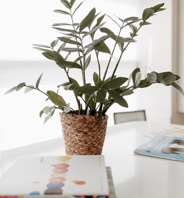 Self-Compassion For When We Screw Up