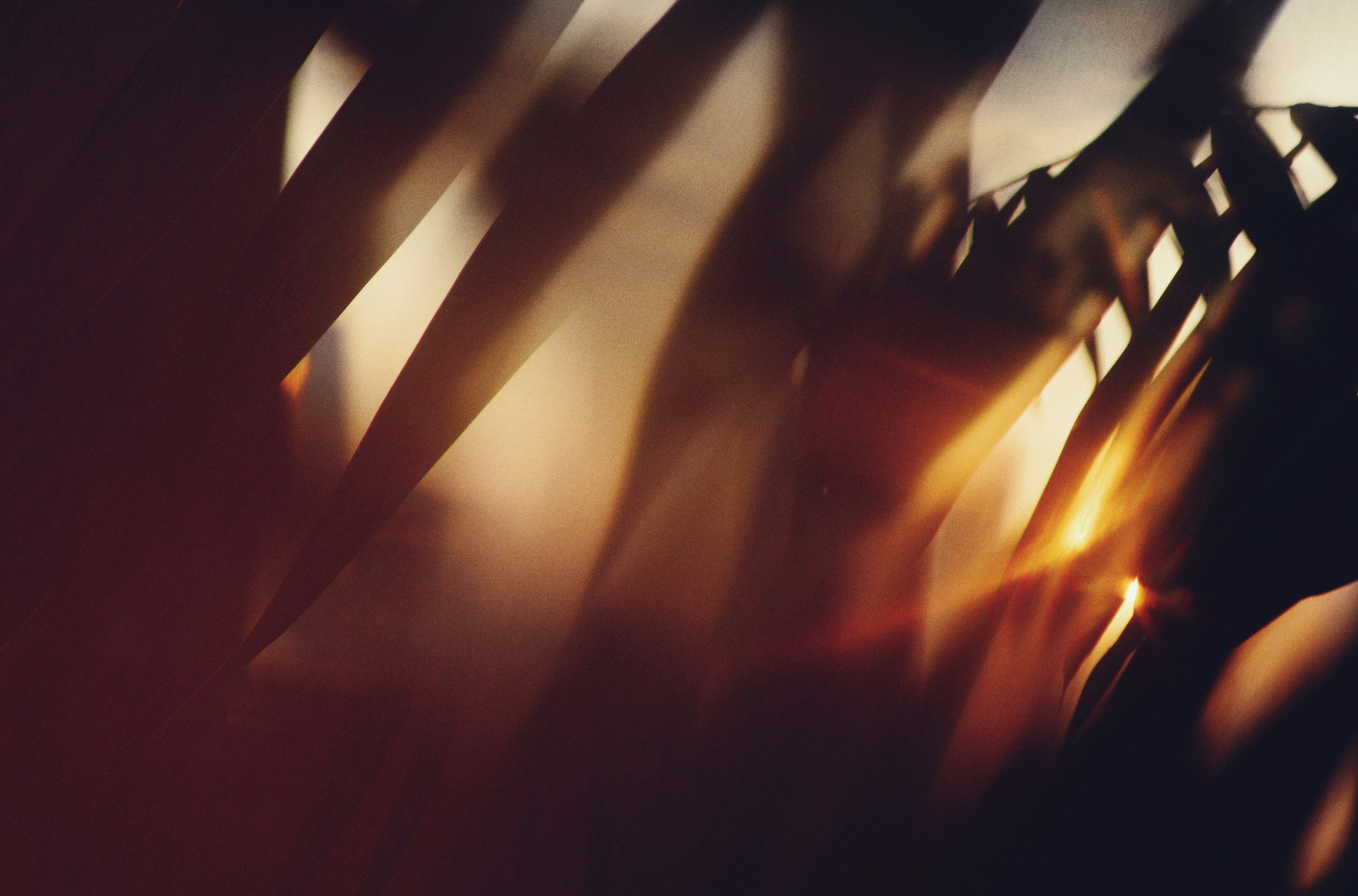 Abstract photograph of light shining through objects