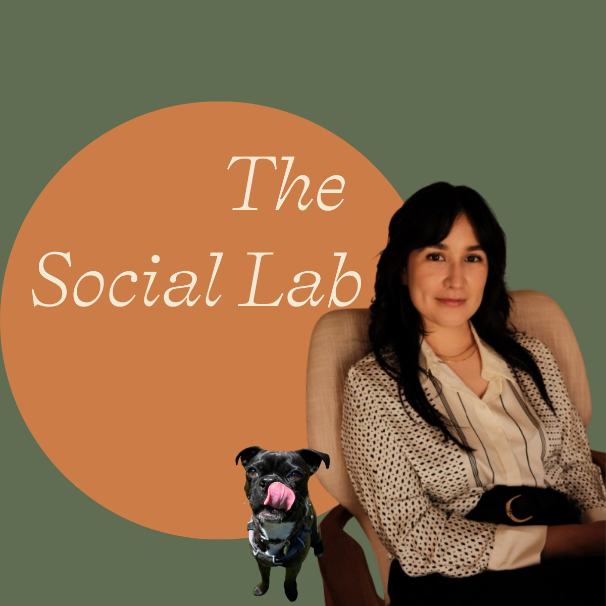 The Social Lab (3) The Social Lab is an adults process group led by Dr. Lisette Montañez